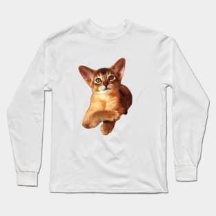 Abyssinian Kitten Cat Cute! Long Sleeve T-Shirt